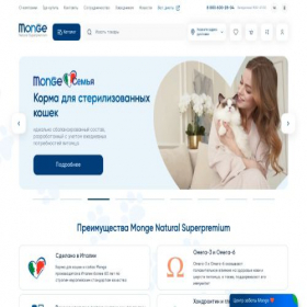 Скриншот главной страницы сайта monge.ru
