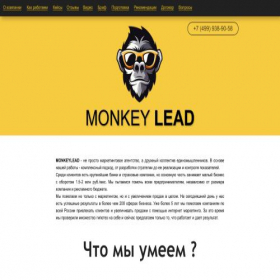 Скриншот главной страницы сайта monkeylead.ru
