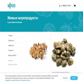 Скриншот главной страницы сайта moreka.shop