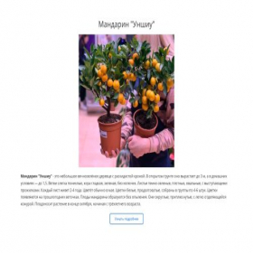 Скриншот главной страницы сайта moretangerin.creatium.site