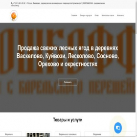 Скриншот главной страницы сайта moroshkoff.vsite.biz