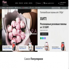 Скриншот главной страницы сайта mospion.ru