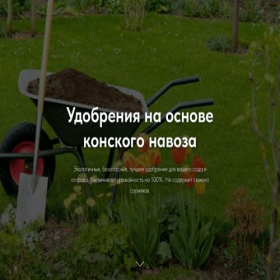 Скриншот главной страницы сайта mosreductor.ru