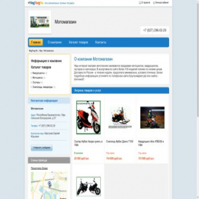 Скриншот главной страницы сайта motomagazin-s311144.regtorg.ru