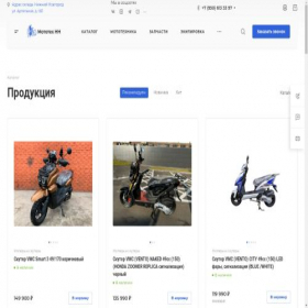 Скриншот главной страницы сайта mototeh-nn.ru