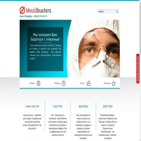 Скриншот главной страницы сайта mouldbusters.ru