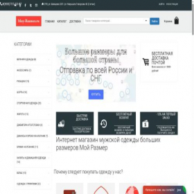 Скриншот главной страницы сайта moy-razmer.ru