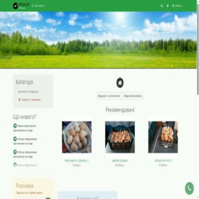 Скриншот главной страницы сайта moysvit.com