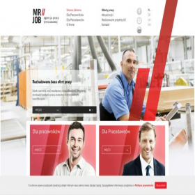 Скриншот главной страницы сайта mrjob.pl