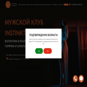 Скриншот главной страницы сайта msk.instinktnn.ru