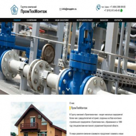 Скриншот главной страницы сайта mspptm.ru