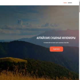 Скриншот главной страницы сайта muchomor.ru