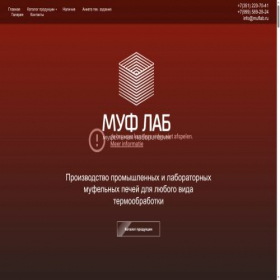 Скриншот главной страницы сайта muflab.ru