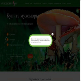 Скриншот главной страницы сайта muhomorus.ru