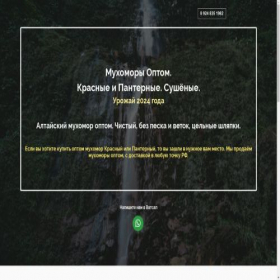 Скриншот главной страницы сайта muhomory-opt.ru