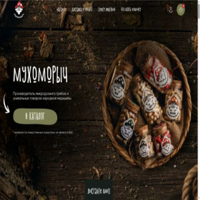 Скриншот главной страницы сайта muhomorych.ru