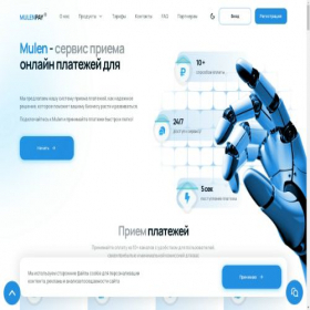 Скриншот главной страницы сайта mulenpay.ru