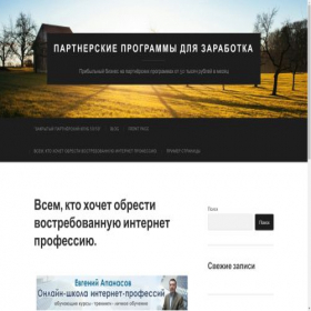 Скриншот главной страницы сайта multitrafik.ru