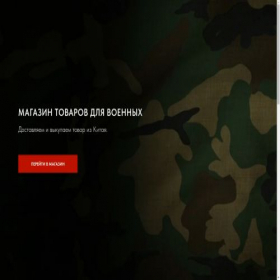 Скриншот главной страницы сайта mur-mvt.ru