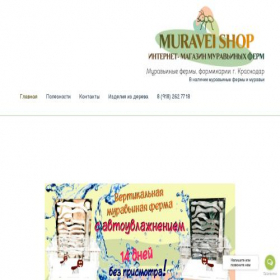 Скриншот главной страницы сайта muraveishop.ru