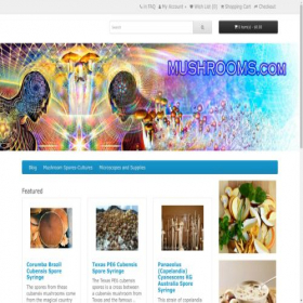 Скриншот главной страницы сайта mushrooms.com