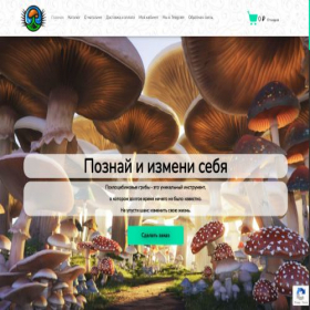Скриншот главной страницы сайта mushroomspore.ru