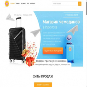Скриншот главной страницы сайта mybag38.ru