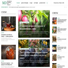 Скриншот главной страницы сайта myderevna.ru