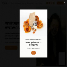 Скриншот главной страницы сайта myhomor-viking.ru
