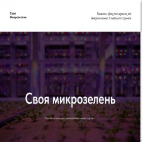 Скриншот главной страницы сайта mymicrogreenery.ru