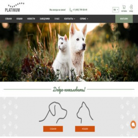 Скриншот главной страницы сайта myplatinum.ru