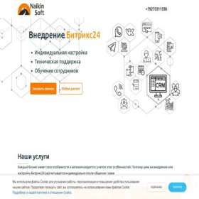 Скриншот главной страницы сайта naikinsoft.ru