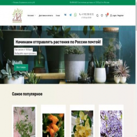 Скриншот главной страницы сайта nakronina.ru