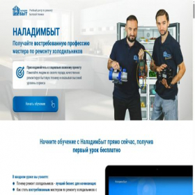 Скриншот главной страницы сайта naladym-byt.ru