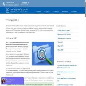 Скриншот главной страницы сайта nalog-info.com