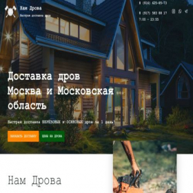 Скриншот главной страницы сайта namdrova.ru