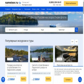 Скриншот главной страницы сайта nameteor.ru