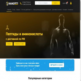 Скриншот главной страницы сайта nanogens.ru