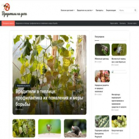 Скриншот главной страницы сайта napoles.store