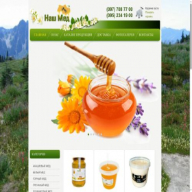 Скриншот главной страницы сайта nashmed.com.ua
