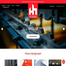Скриншот главной страницы сайта nashprofil.com