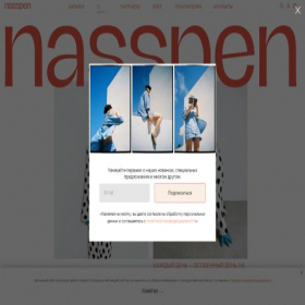 Скриншот главной страницы сайта nasspen.com