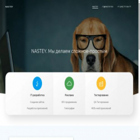 Скриншот главной страницы сайта nastey.ru