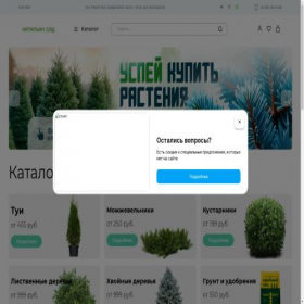 Скриншот главной страницы сайта natalin-sad.ru