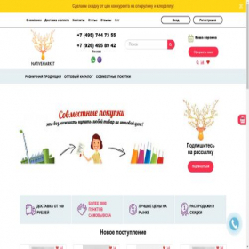 Скриншот главной страницы сайта nativemarket.ru