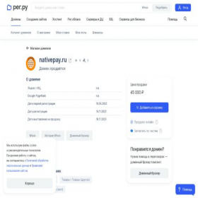 Скриншот главной страницы сайта nativepay.ru