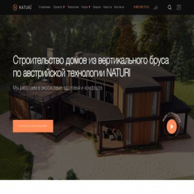 Скриншот главной страницы сайта naturi.su