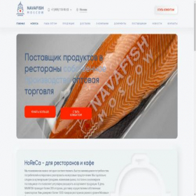 Скриншот главной страницы сайта navafish.ru