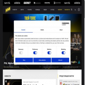 Скриншот главной страницы сайта navi-gaming.com