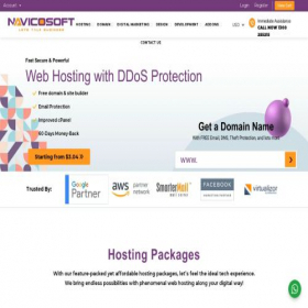 Скриншот главной страницы сайта navicosoft.com